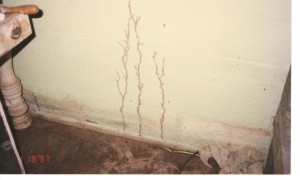 Termite mud tubes going up a garage wall.