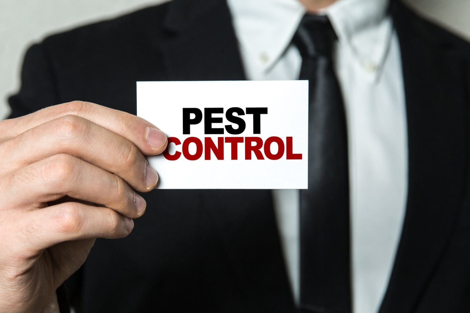 5 Tips for Choosing Commercial Pest Control Services