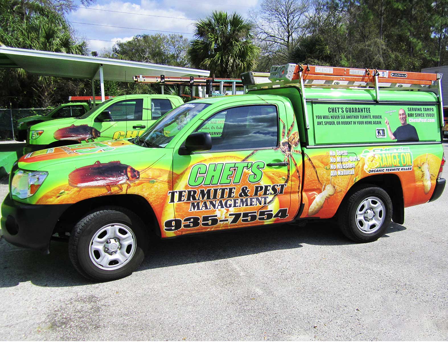 Tampa Pest Control, Termite Tenting & Treatment. Guaranteed