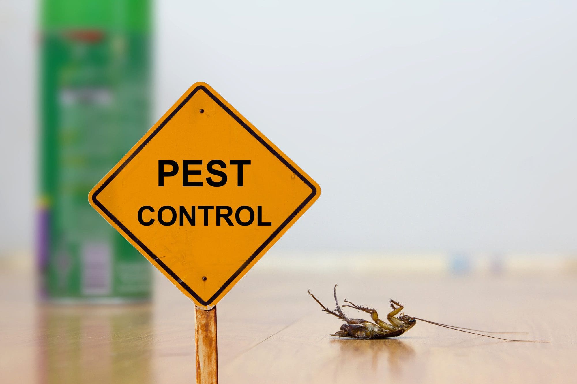 Pest Control In Philadelphia Bed Bugs